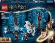 76432 LEGO® Harry Potter Uždraustasis miškas: magiškos būtybės hinta ja tiedot | LEGOT ja rakennuslelut | hobbyhall.fi