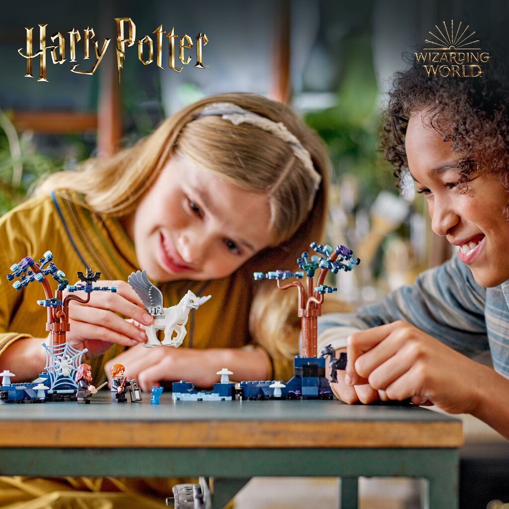 76432 LEGO® Harry Potter Uždraustasis miškas: magiškos būtybės hinta ja tiedot | LEGOT ja rakennuslelut | hobbyhall.fi