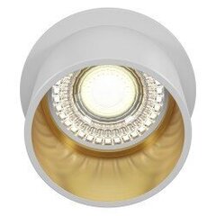 Maytoni Technical Downlight Reif DL050-01WG Valkoinen ja kultainen valkoinen. hinta ja tiedot | Kattovalaisimet | hobbyhall.fi