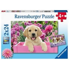 Ravensburger-palapeli, 2x24 kpl hinta ja tiedot | Palapelit | hobbyhall.fi