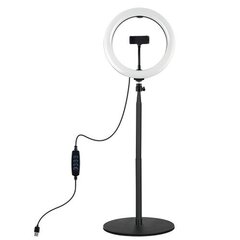 LED-rengaslamppu 26cm, jalustalla 25,5-140,7cm, USB hinta ja tiedot | Valokuvaustarvikkeet | hobbyhall.fi