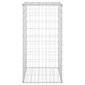 vidaXL Gabion-kivikori kansilla galvanoitu teräs 60x50x100 cm hinta ja tiedot | Aidat ja tarvikkeet | hobbyhall.fi