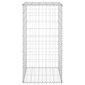 vidaXL Gabion-kivikori kansilla galvanoitu teräs 60x50x100 cm hinta ja tiedot | Aidat ja tarvikkeet | hobbyhall.fi