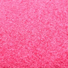 vidaXL Ovimatto pestävä pinkki 120x180 cm hinta ja tiedot | Ovimatot | hobbyhall.fi