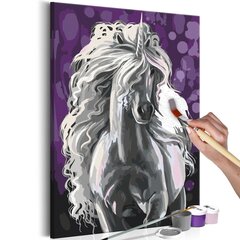 DIY kangas maalaus - White Unicorn 40x60 hinta ja tiedot | Maalaa numeroiden mukaan | hobbyhall.fi