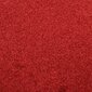 vidaXL Ovimatto punainen 80x120 cm hinta ja tiedot | Ovimatot | hobbyhall.fi