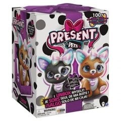 SPIN MASTER PRESENT PETS Interaktiivinen koiranpentu FANCY hinta ja tiedot | SpinMaster Lelut yli 3-vuotiaille lapsille | hobbyhall.fi