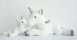 DOUDOU ET COMPAGNIE pehmolelu Unicorn Argent 60 CM hinta ja tiedot | Pehmolelut | hobbyhall.fi