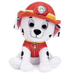 Paw Patrol (Ryhmä Hau) pehmolelu Marshall, 22cm hinta ja tiedot | SpinMaster Lapset | hobbyhall.fi