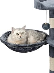 Lionto kissan riippupeti, 40 cm, harmaa hinta ja tiedot | Raapimispuut ja kiipeilypuut | hobbyhall.fi