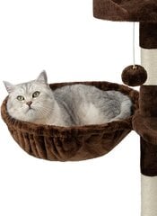 Lionto kissan riippupeti, 40 cm, ruskea hinta ja tiedot | Raapimispuut ja kiipeilypuut | hobbyhall.fi