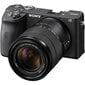 Sony A6600 + 18-135mm OSS (Black) hinta ja tiedot | Kamerat | hobbyhall.fi