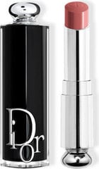 Dior Addict Lipstick Barra De Labios 422 1un hinta ja tiedot | Huulipunat, huulikiillot ja huulirasvat | hobbyhall.fi