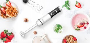 Zeegma Handy Chef hinta ja tiedot | Sauvasekoittimet ja silppurit | hobbyhall.fi