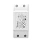 Smart Switch Wi-Fi Sonoff BASICR4, 10A ESP32 hinta ja tiedot | Turvajärjestelmien ohjaimet | hobbyhall.fi