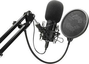 Speedlink-mikrofonisarja Volity Ready Streaming -aloitussetti. hinta ja tiedot | Mikrofonit | hobbyhall.fi