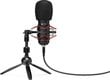 Silentium PC Gear SM900T Black (musta) + Pop Filter + Shock-Mount + Tripod Stand hinta ja tiedot | Mikrofonit | hobbyhall.fi