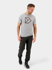 Miesten Didriksons t-paita, harmaa hinta ja tiedot | Miesten T-paidat | hobbyhall.fi
