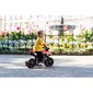Lasten sähkömoottoripyörä FALK, punainen hinta ja tiedot | Lasten sähköautot | hobbyhall.fi