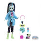 Nukke tarvikkeineen Monster High Creepover Party hinta ja tiedot | Tyttöjen lelut | hobbyhall.fi