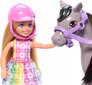 Chelsea nukke ja poni setti Barbie hinta ja tiedot | Tyttöjen lelut | hobbyhall.fi