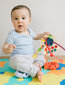Montessori pureskelulelu, sininen hinta ja tiedot | Vauvan lelut | hobbyhall.fi