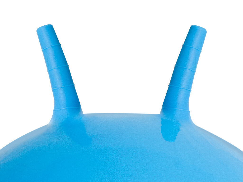 Hyppypallo, 65 cm, sininen hinta ja tiedot | Hiekkalelut ja rantalelut | hobbyhall.fi