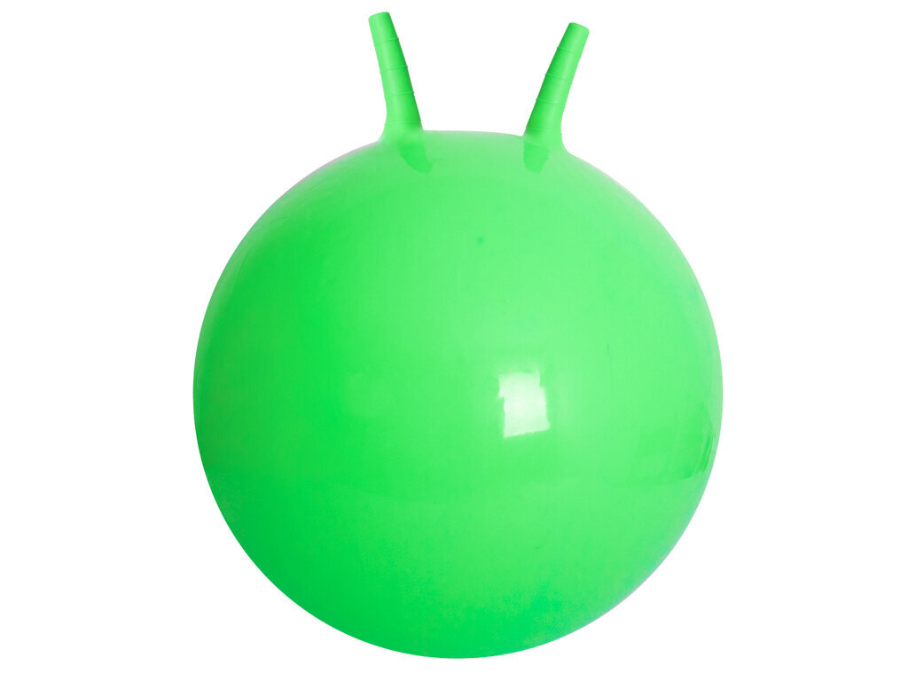 Hyppypallo, 65 cm, vihreä hinta ja tiedot | Hiekkalelut ja rantalelut | hobbyhall.fi