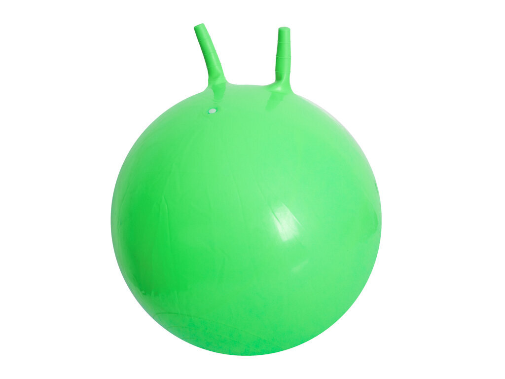 Hyppypallo, 65 cm, vihreä hinta ja tiedot | Hiekkalelut ja rantalelut | hobbyhall.fi