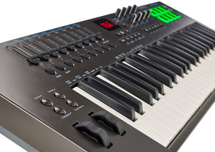 Midi-koskettimet Nektar Impact LX49 +. hinta ja tiedot | Soittimien lisätarvikkeet | hobbyhall.fi