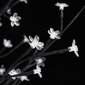 vidaXL Kirsikankukka LED-puu lämmin valkoinen 368 LED-valoa 300 cm hinta ja tiedot | Joulukoristeet | hobbyhall.fi