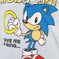 Sonic the hedgehog lasten pitkähihainen paita hinta ja tiedot | Poikien paidat | hobbyhall.fi