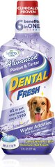 Dental Fresh Dog Plaque & Hamtar, Hammashygienia neste koirille 237 ml hinta ja tiedot | Eläinten hoitotuotteet | hobbyhall.fi