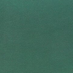 vidaXL Keinonurmiteippi 0,15x20 m vihreä hinta ja tiedot | Käsityökalut | hobbyhall.fi