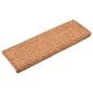 vidaXL Porrasmatot 10 kpl 65x21x4 cm ruskea hinta ja tiedot | Isot matot | hobbyhall.fi