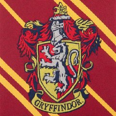 Harry Potter Gryffindor kudottu logo lasten solmio 11799 hinta ja tiedot | Lasten asusteet | hobbyhall.fi