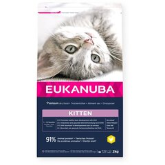 Eukanuba Kitten All Breeds Healthy Start jauniems kačiukams su vištiena ir kepenėlėmis, 2 kg hinta ja tiedot | Kissan kuivaruoka | hobbyhall.fi
