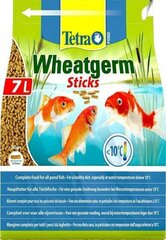 Maistas žuvims Tetra Pond Wheatgerm Sticks, 7 l pokarm w pałeczkach hinta ja tiedot | Kalanruoka | hobbyhall.fi