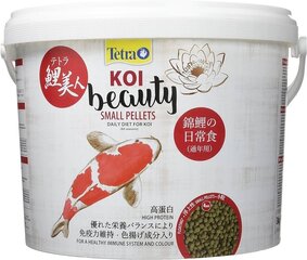 Maistas karpiams Tetra KOI Beauty Small, 10 l hinta ja tiedot | Kalanruoka | hobbyhall.fi