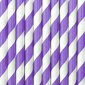 Paperipillit, violetti valkoinen, 19,5 cm, 1 laatikko / 50 kpl (1 pakkaus / 10 kpl) hinta ja tiedot | Tarjoiluastiat ja aterimet juhliin | hobbyhall.fi