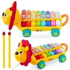 Leluksylofoni - piano Leo Ricokids, RK-740 hinta ja tiedot | Ricokids Lapset | hobbyhall.fi