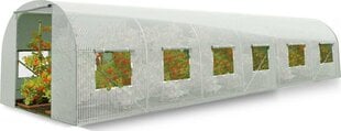 Ohut kasvihuone 600 cm x 300 cm x 200 cm (4977) hinta ja tiedot | Kasvihuoneet | hobbyhall.fi