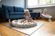 Sängysuoja 300cm, harmaa hinta ja tiedot | Lasten turvallisuus | hobbyhall.fi