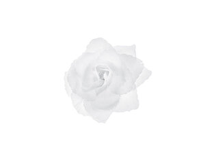 Autokoriste Ruusut, valkoinen, 9 cm (1 pakkaus/ 24 kpl) hinta ja tiedot | Juhlakoristeet | hobbyhall.fi