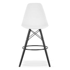 2 tuolin sarja Leobert Lamal, valkoinen/musta hinta ja tiedot | Ruokapöydän tuolit | hobbyhall.fi