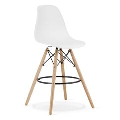 3 tuolin sarja Leobert Lamal, valkoinen/ruskea hinta ja tiedot | Ruokapöydän tuolit | hobbyhall.fi