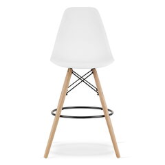 4 tuolin sarja Leobert Lamal, valkoinen/ruskea hinta ja tiedot | LEOBERT Huonekalut ja sisustus | hobbyhall.fi