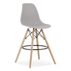 4 tuolin sarja Leobert Lamal, harmaa/ruskea hinta ja tiedot | Ruokapöydän tuolit | hobbyhall.fi