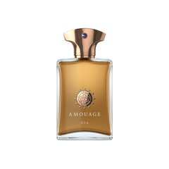 Eau de parfum Amouage Dia pour Homme EDP miehille 100 ml hinta ja tiedot | Miesten hajuvedet | hobbyhall.fi