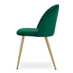 2 tuolin sarja Leobert Bello, vihreä/ruskea hinta ja tiedot | Ruokapöydän tuolit | hobbyhall.fi
